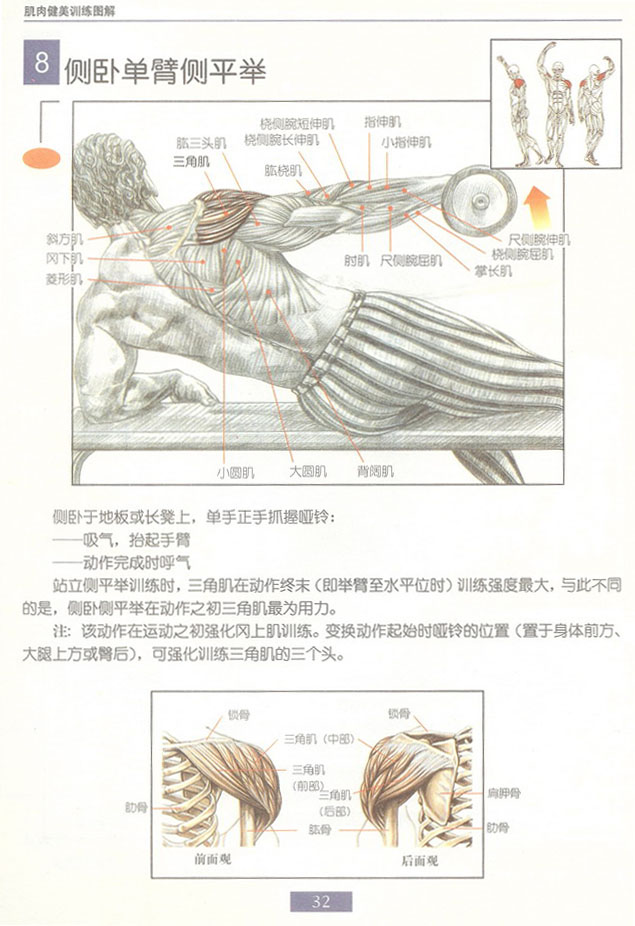 侧卧侧平举.jpg