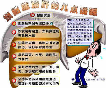 脂肪肝的八点提醒.jpg