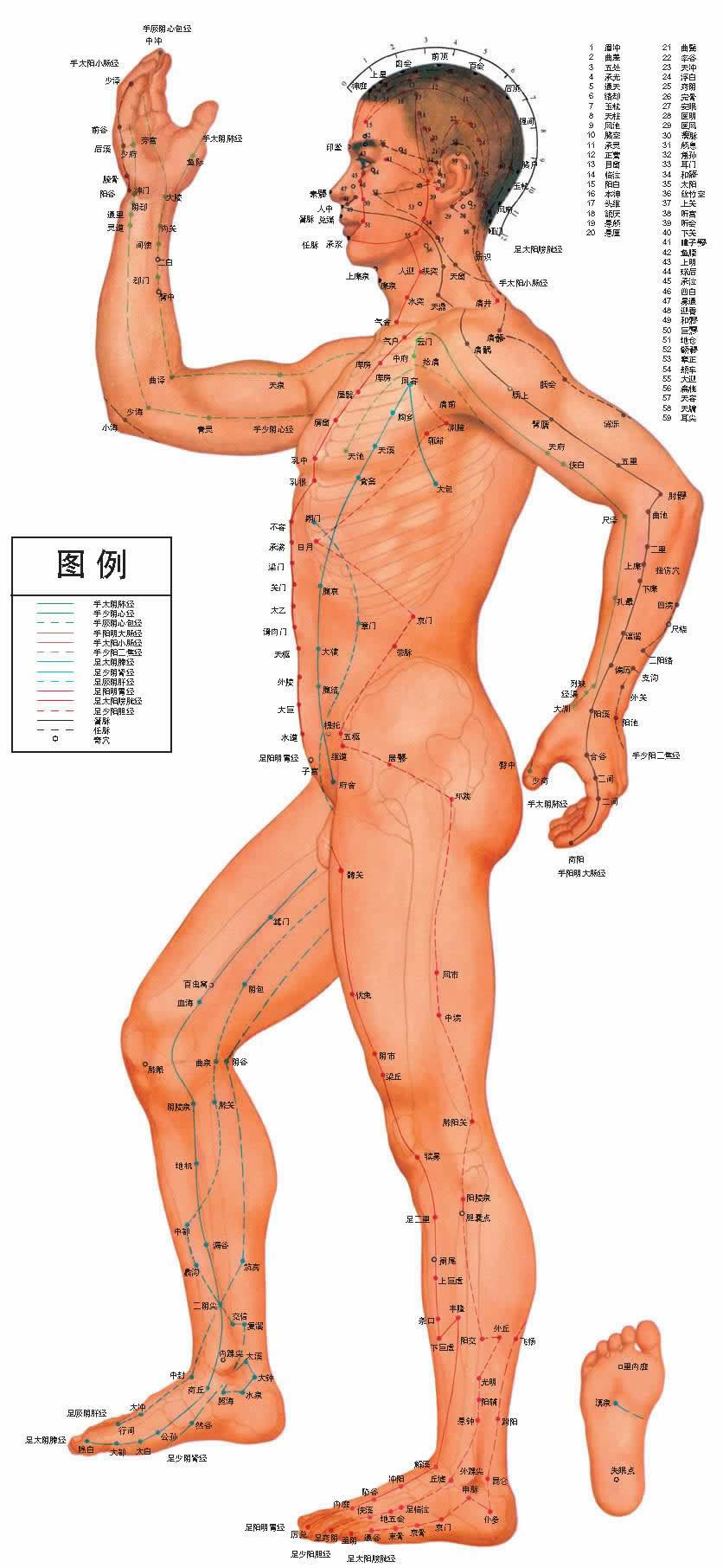 侧面.jpg