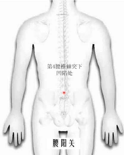 腰阳.jpg
