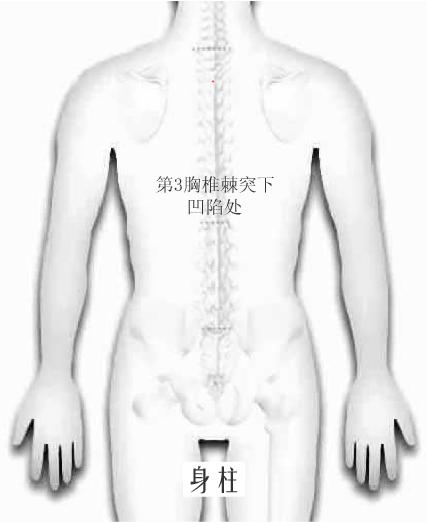 身柱.jpg