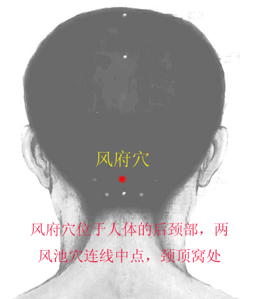 风府.jpg