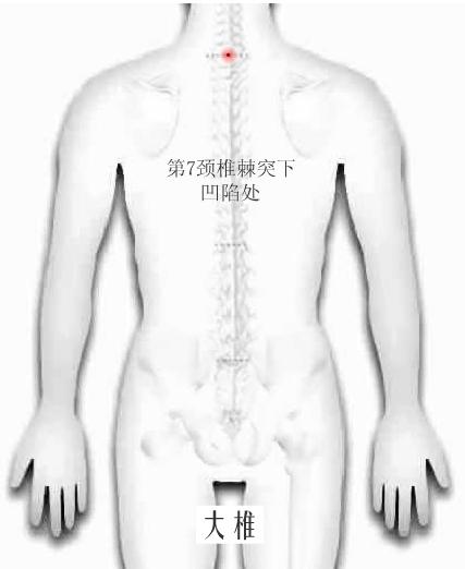 大椎.jpg