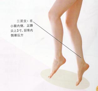 三阴交.jpg