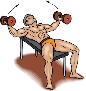 bodybuilder11.jpg