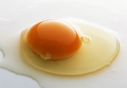 鸡蛋.jpg