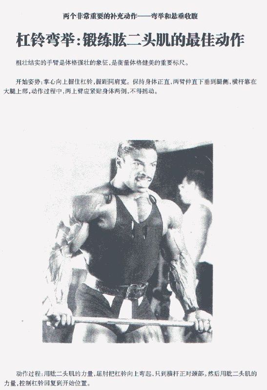 杠铃弯举.jpg