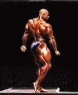 弗莱克斯.gif