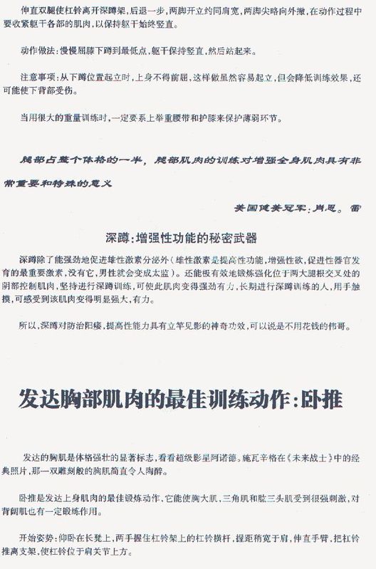 深蹲3.jpg