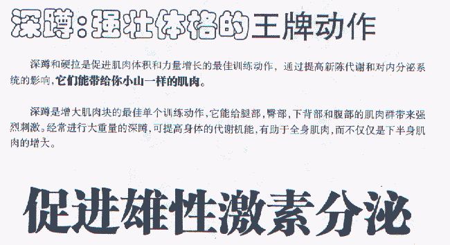 深蹲1.jpg