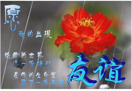友谊天长地久.gif