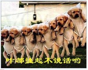咋都挂起不说话.jpg