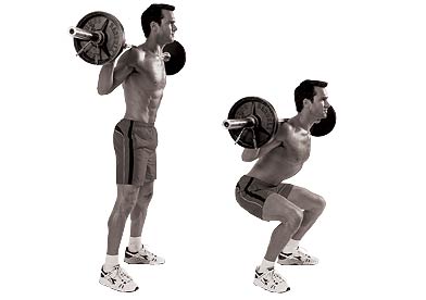 squatsMF8.jpg