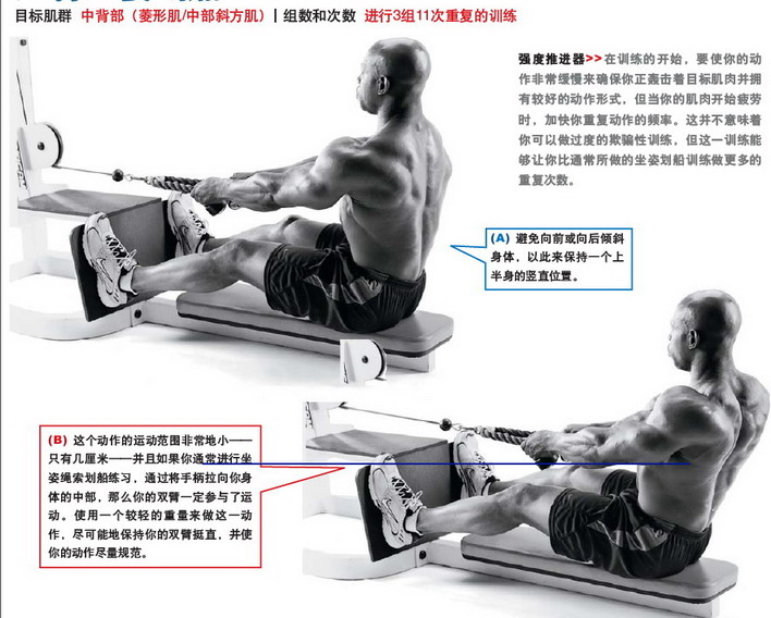坐姿划船.jpg