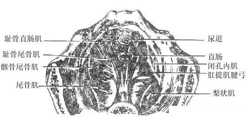 4d6dc8e5g54b1ab347d3d.jpg