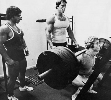 Arnold-380x343.jpg
