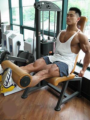 腿屈伸.jpg