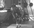 俯立侧平举.gif