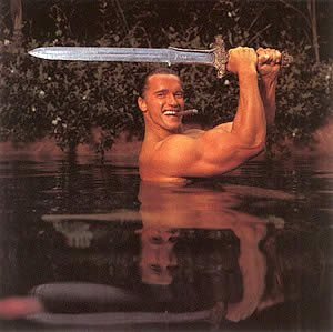 Schwarzenegger.jpg