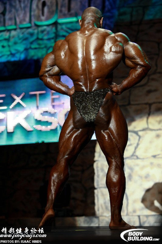 13.jpg