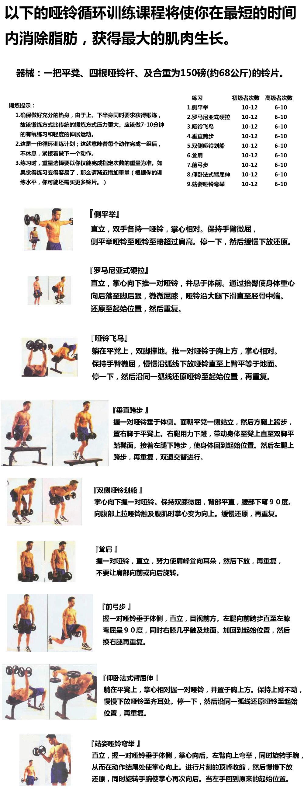 哑铃训练课程.jpg