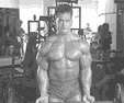 8.gif