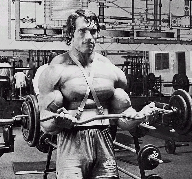 Arnold Schwarzenegger.jpg