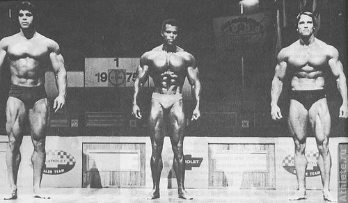 Lou Ferrigno - Serge Nubret - Schwarzenegger.jpg