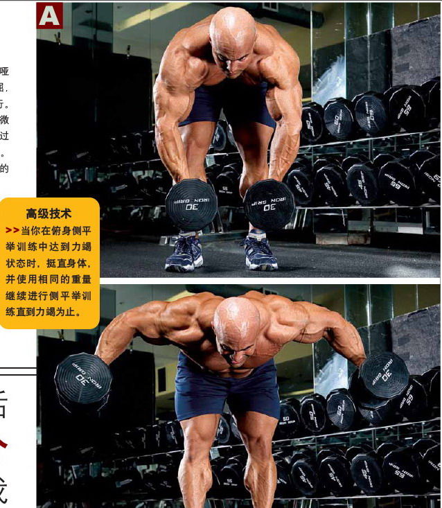 哑铃俯身飞鸟.jpg