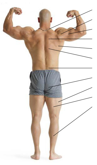 backview.jpg