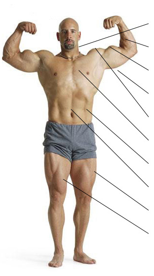 frontview.jpg