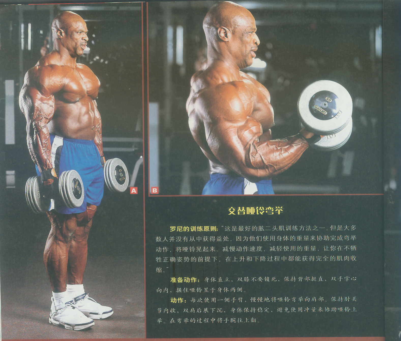 交替哑铃弯举.jpg