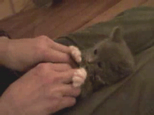 123.gif