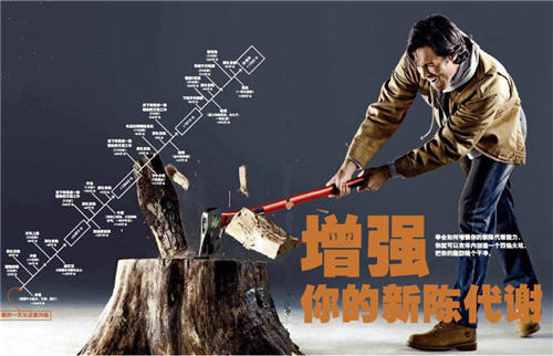 增强你的新陈代谢.jpg