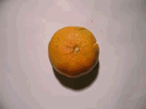 小橘人玩球.gif