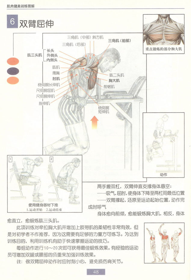 臂屈伸.jpg