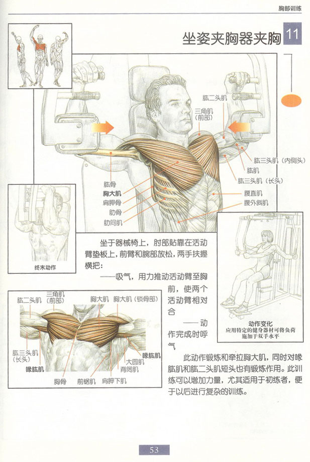 夹胸器.jpg