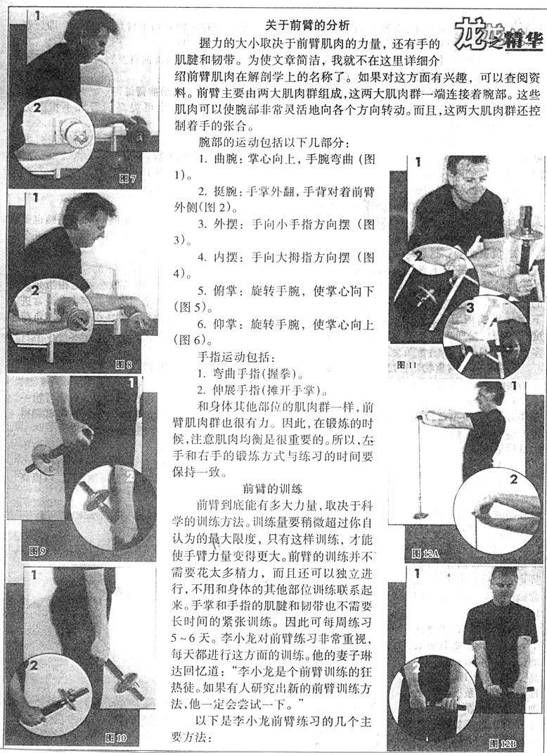 前臂.jpg
