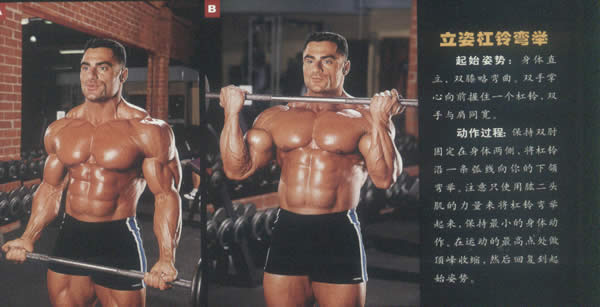 杠铃弯举.jpg