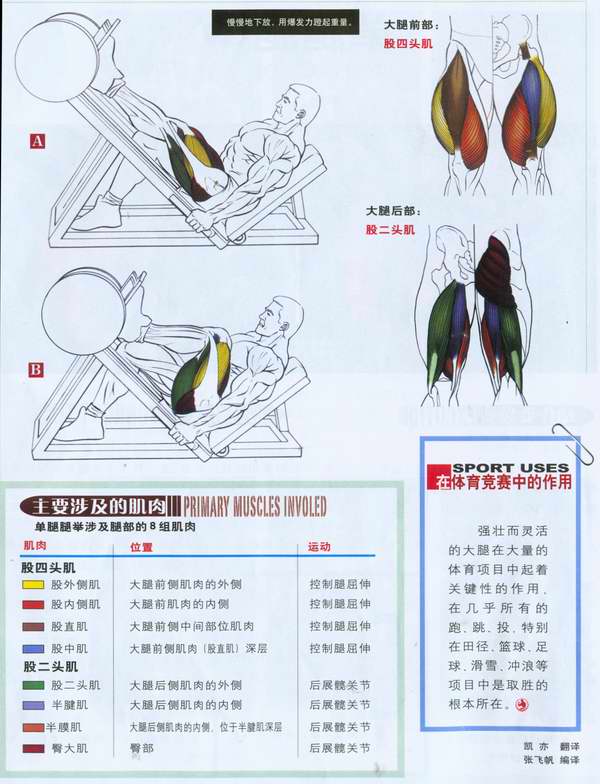 涉及肌肉.jpg
