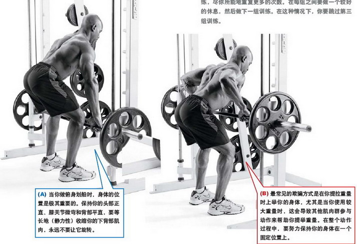 史密斯俯身划船.jpg