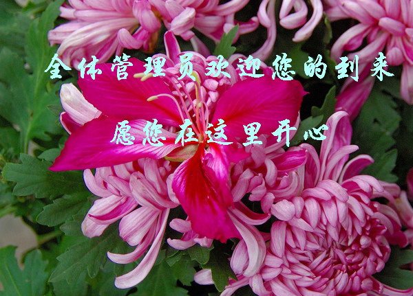 开心.jpg