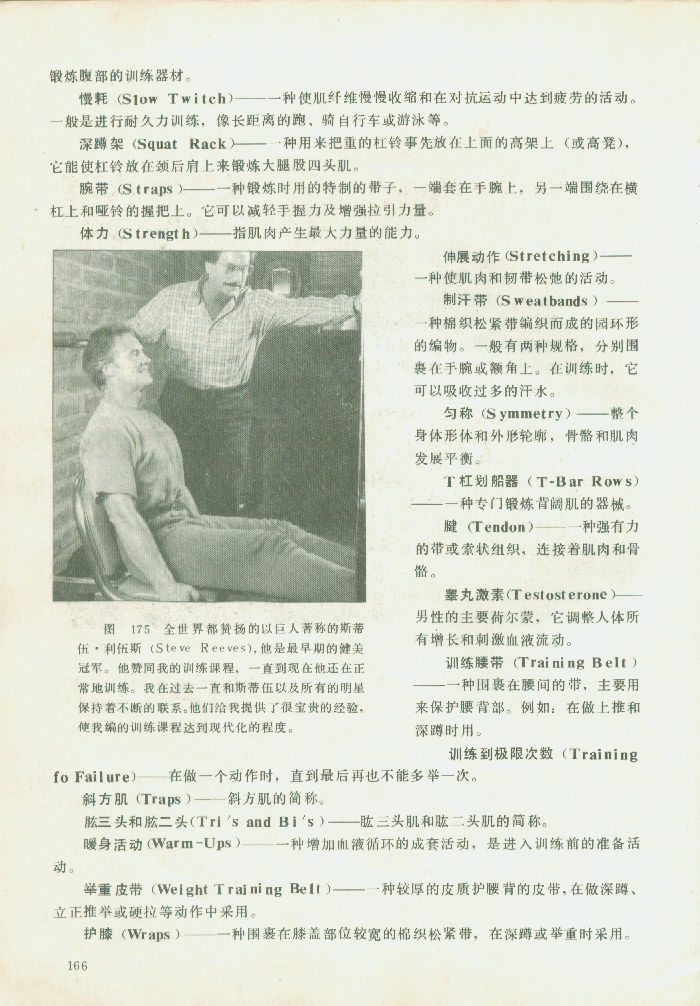 166.jpg