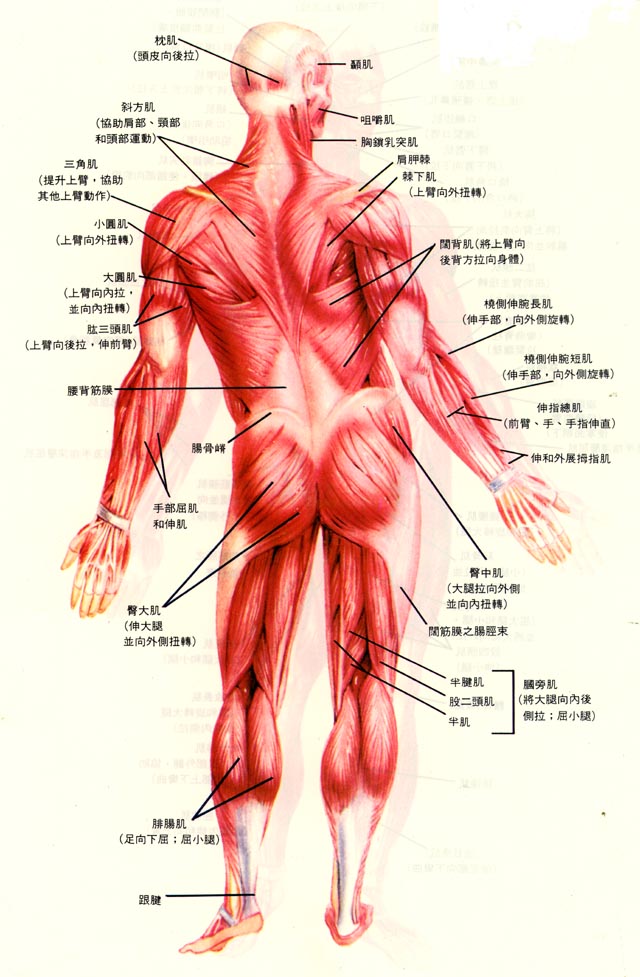 后.jpg