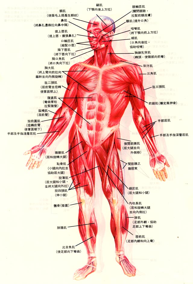 前.jpg