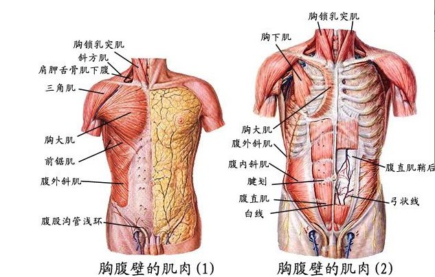 未命名.jpg5.jpg