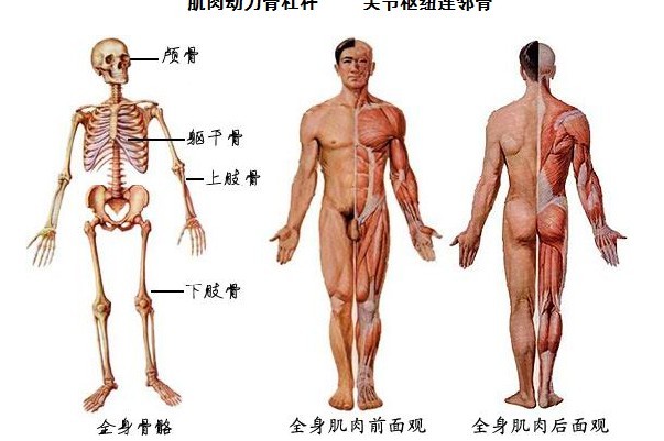 未命名.jpg2.jpg