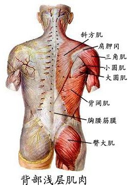 未命名.jpg4.jpg