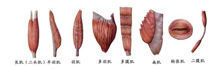 未命名.jpg3.jpg