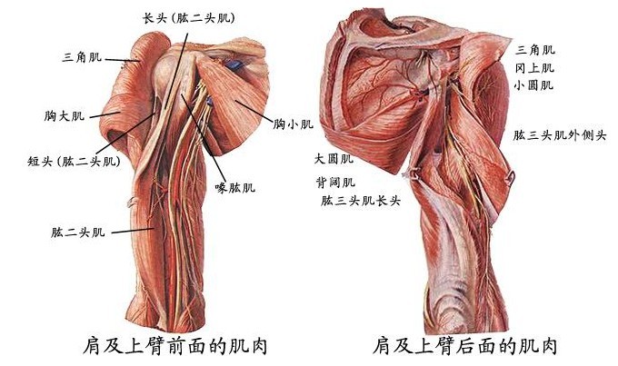 未命名.jpg6.jpg